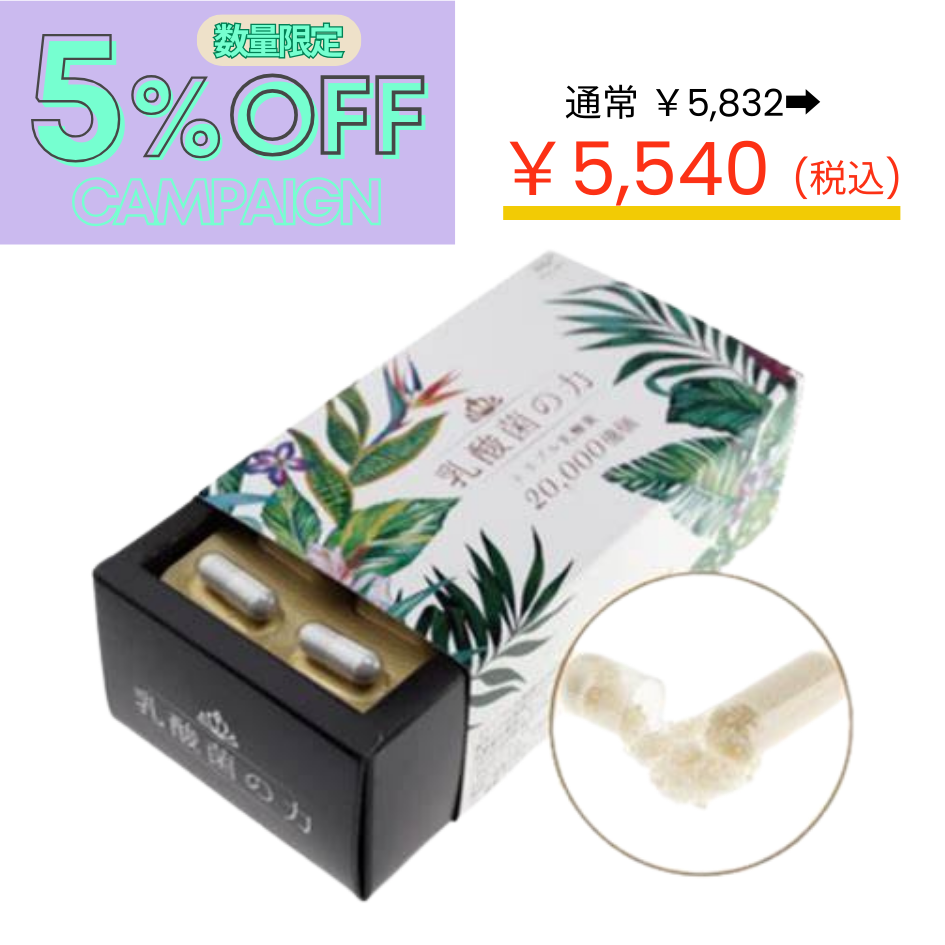 【5％OFF】乳酸菌の力